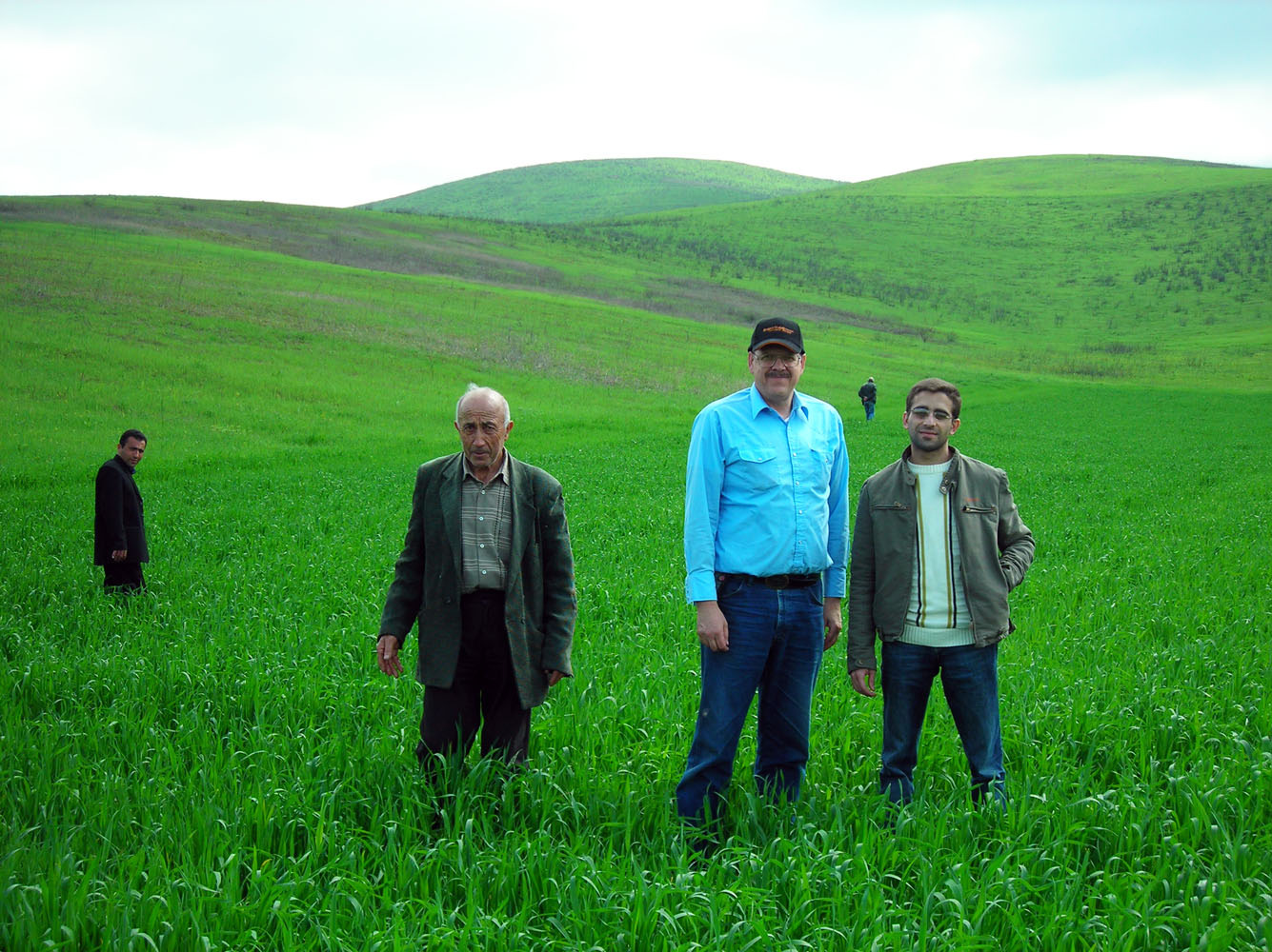 Helping farmers grow wheat puts bread on the table, Armenia.
